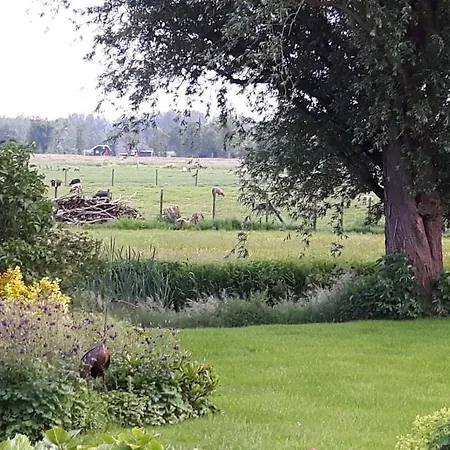 De Oude Hofstee Bed & Breakfast