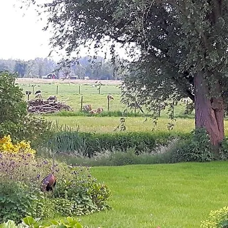 De Oude Hofstee