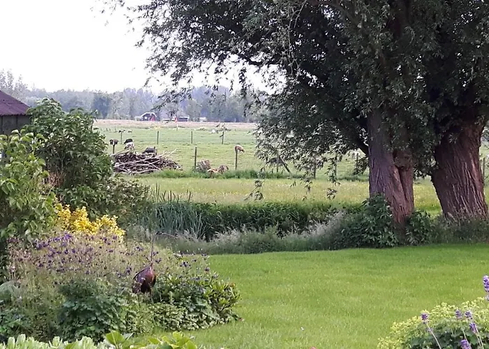 De Oude Hofstee فندق مبيت وإفطار