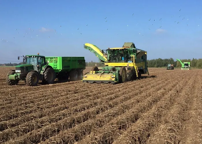 De Oude Hofstee فندق مبيت وإفطار Maasdam